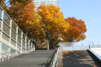 ファイル 10-1.jpg