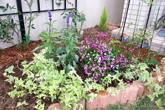 ファイル 1002-1.jpg