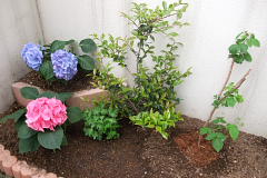 ファイル 1002-2.jpg