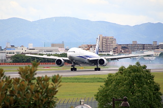 ファイル 1096-1.jpg