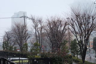 ファイル 1266-1.jpg