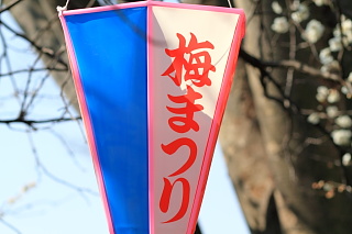 ファイル 1281-1.jpg