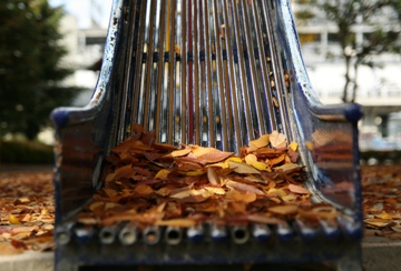 ファイル 13-1.jpg