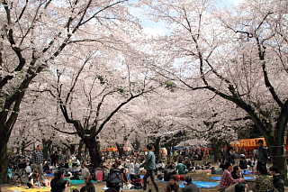 ファイル 1324-2.jpg