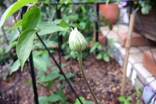 ファイル 1330-2.jpg