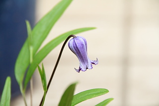 ファイル 1344-2.jpg