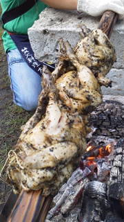 ファイル 1387-1.jpg