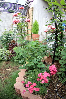 ファイル 1389-2.jpg