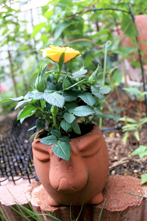 ファイル 1396-2.jpg