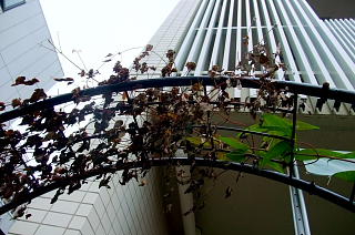 ファイル 1397-1.jpg