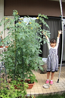 ファイル 1406-1.jpg