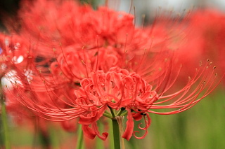 ファイル 1500-2.jpg