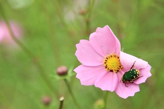 ファイル 1511-3.jpg