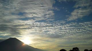 ファイル 1529-1.jpg