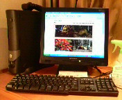 ファイル 169-1.jpg