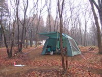 ファイル 17-1.jpg