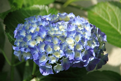 ファイル 1756-2.jpg