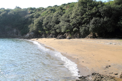 ファイル 2217-1.jpg