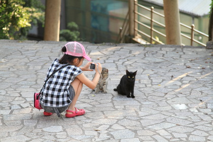 ファイル 2223-2.jpg