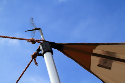 ファイル 2234-2.jpg