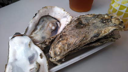 ファイル 2240-2.jpg