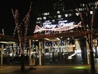 ファイル 26-1.jpg