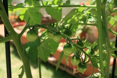 ファイル 270-3.jpg