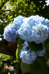 ファイル 276-1.jpg