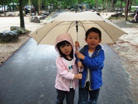 ファイル 292-1.jpg