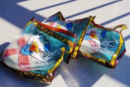 ファイル 3072-1.jpg