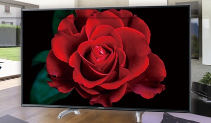 ファイル 3370-1.jpg