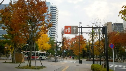 ファイル 3379-1.jpg