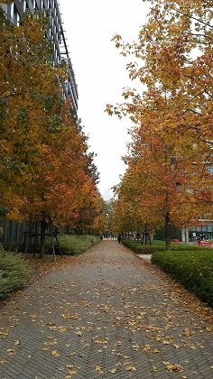 ファイル 3384-1.jpg