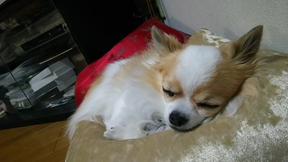 ファイル 3428-1.jpg