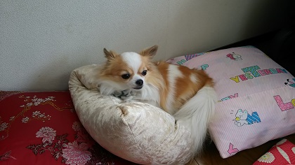 ファイル 3428-2.jpg