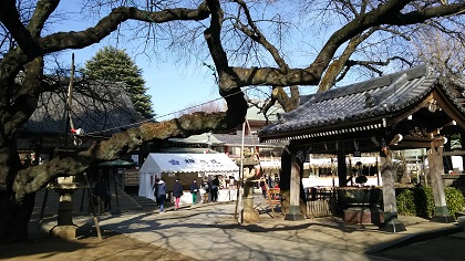 ファイル 3434-1.jpg