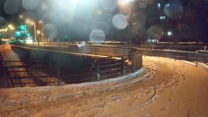 ファイル 3443-1.jpg