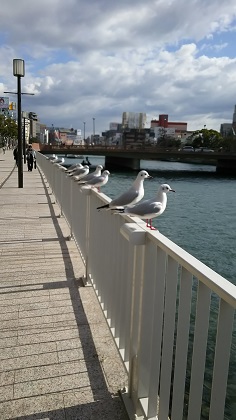 ファイル 3444-1.jpg