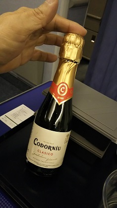 ファイル 3447-1.jpg