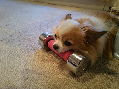 ファイル 3628-1.jpg