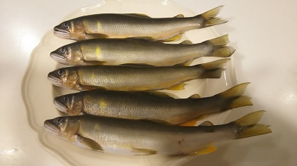 ファイル 3868-1.jpg