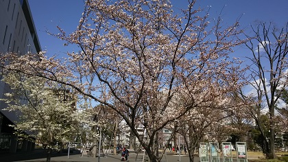 ファイル 3874-1.jpg