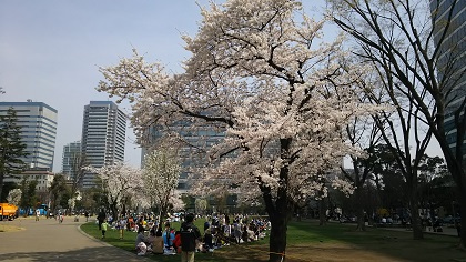 ファイル 3879-1.jpg