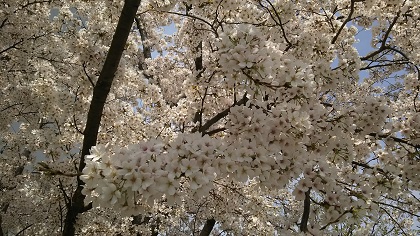 ファイル 3879-2.jpg