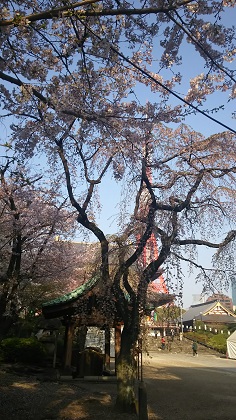 ファイル 3880-2.jpg