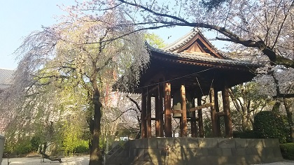 ファイル 3880-3.jpg