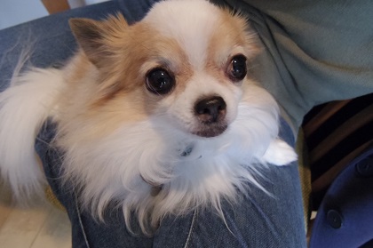 ファイル 4155-1.jpg