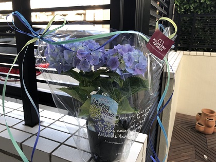 ファイル 4326-1.jpg