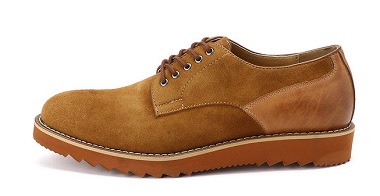 ファイル 4600-1.jpg