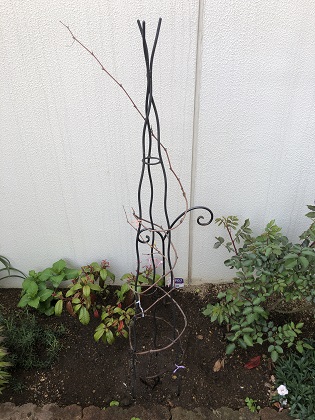 ファイル 4605-1.jpg